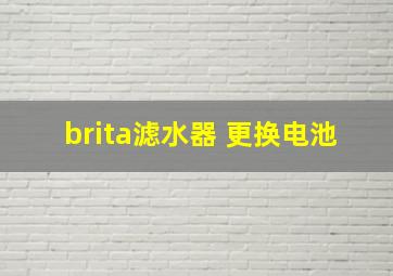 brita滤水器 更换电池